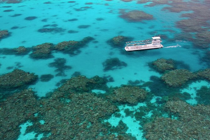 Quicksilver Great Barrier Reef Snorkel Cruise from Port Douglas - Lunch, tea breaks, and the marine biologist talks