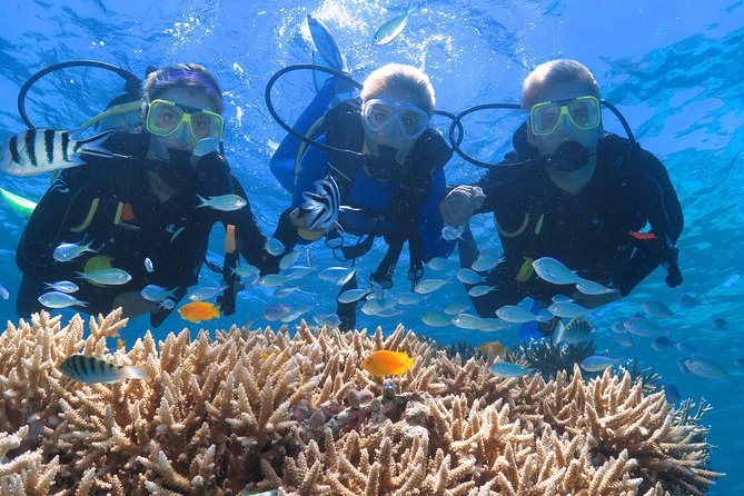 Quicksilver Great Barrier Reef Snorkel Cruise from Port Douglas - Price and value, especially for different swimmer levels