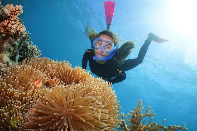 Quicksilver Great Barrier Reef Snorkel Cruise from Port Douglas - Who should book this Quicksilver reef cruise?