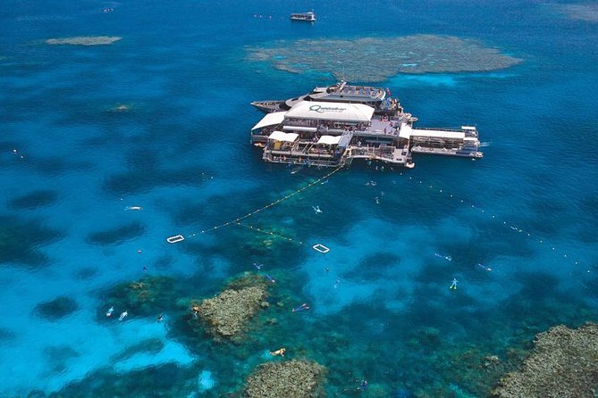 Quicksilver Outer Great Barrier Reef Snorkel Cruise from Palm Cove - Key things that make this cruise worth your time
