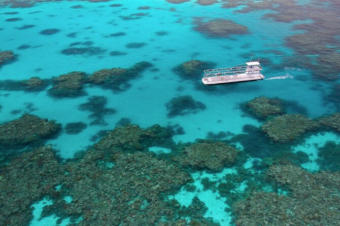 Quicksilver Outer Great Barrier Reef Snorkel Cruise from Palm Cove - Agincourt Reef snorkeling from a submerged platform, with real instructor help