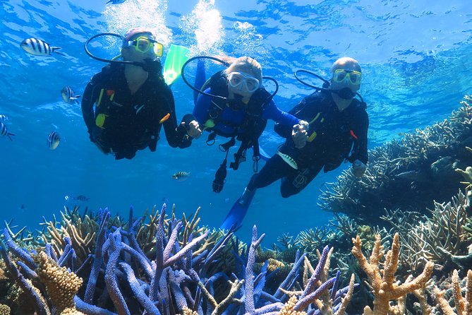 Quicksilver Outer Great Barrier Reef Snorkel Cruise from Palm Cove - Reef presentations with a marine biologist: fun facts that stick