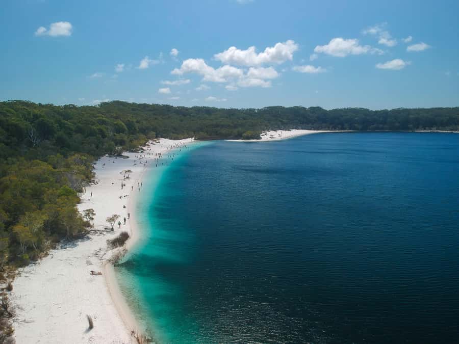 Rainbow Beach: 3-Day K'gari (Fraser Island) 4WD Adventure - Eli Creek: Floating the Rainforest Current Without the Stress