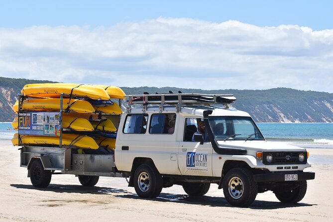 Rainbow Beach: Dolphin & Wildlife Ocean Kayak & Beach 4WD Tour - Wildlife Watching: Dolphins, Whales, Turtles, Rays, and the Real Meaning of Guidance