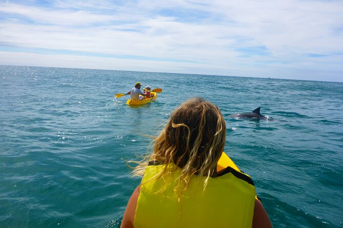 Rainbow Beach: Dolphin & Wildlife Ocean Kayak & Beach 4WD Tour - Who This Tour Fits Best (and Who Should Rethink It)