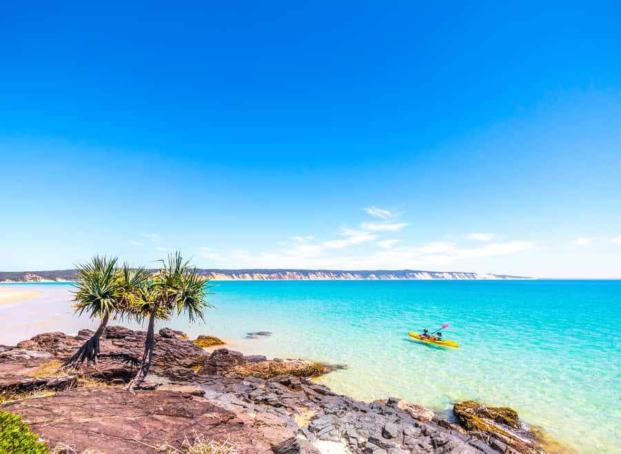Rainbow Beach: Kayaking with Dolphins and Beach 4WD Tour - Wildlife spotting that is actually tied to the route