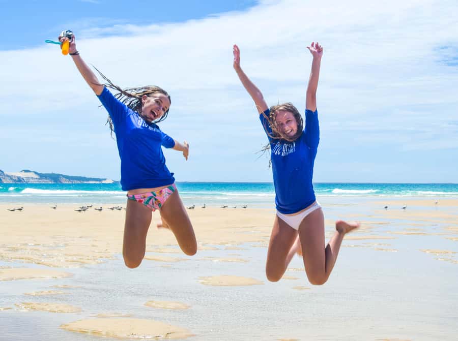 Rainbow Beach: Kayaking with Dolphins and Beach 4WD Tour - Should you book the Rainbow Beach dolphin kayaking and 4WD tour?