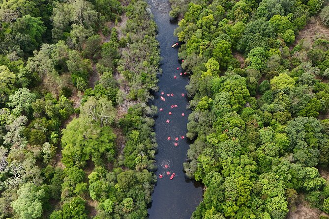 Rainforest River Tubing from Cairns - Key highlights worth planning for