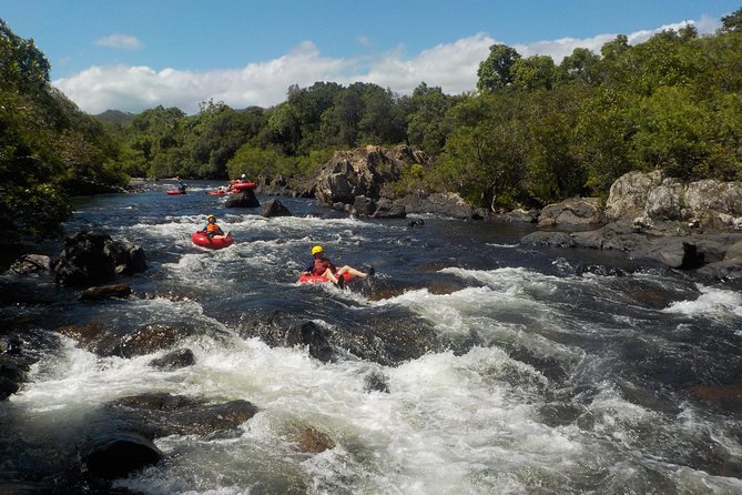 Rainforest River Tubing from Cairns - Rainforest Scenery: What You’ll See Between the Rapids