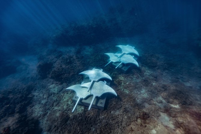 Rayglass Protector - Standard Private Charter - Whitsundays - What you actually do on the water: a flexible island-hopping day