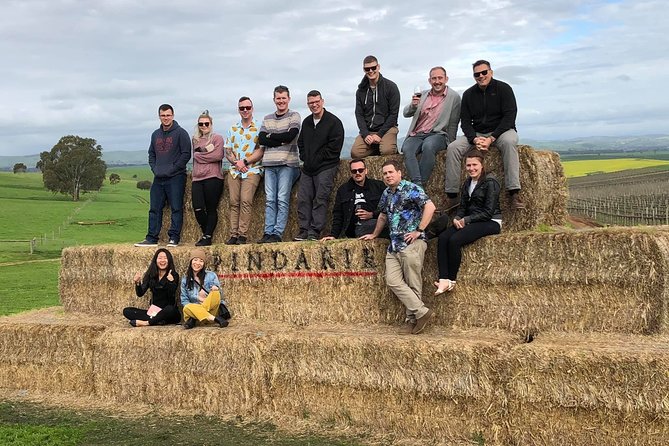 Red White & Brew - Wine, Gin & Beer Tour with Tastings from Adelaide - Key points to know