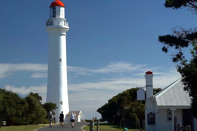 Reimagined Great Ocean Road 1-Day Tour from Melbourne - Price and value at about $71.01 per person
