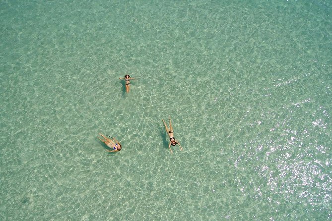 Remote Fraser Island Experience - Key Things That Make This Fraser Island Day Cruise Worth Your Time