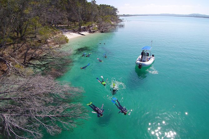Remote Fraser Island Experience - Your Midday Reset: Buffet Lunch Back on Board