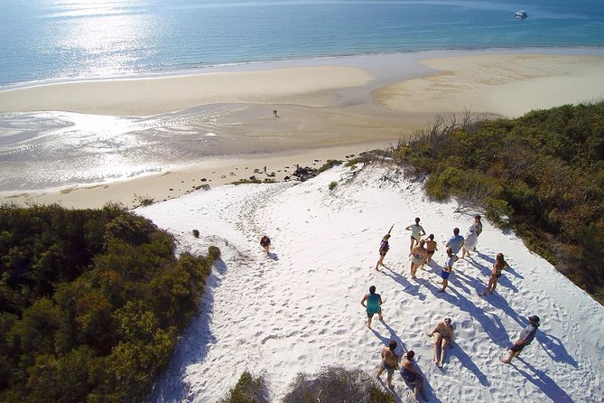 Remote Fraser Island Experience - Price and Value at $185.77: What You’re Actually Buying