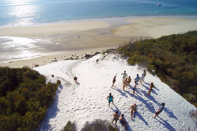Remote K'gari (Fraser Island) & Whale Experience - Quick highlights