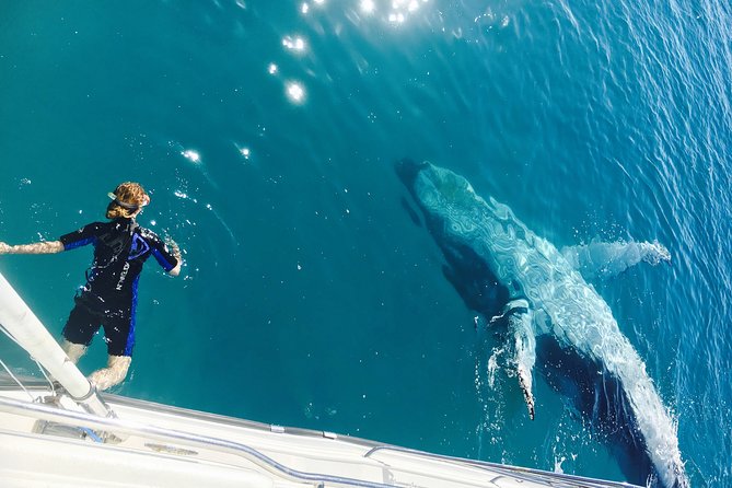 Remote K'gari (Fraser Island) & Whale Experience - From Hervey Bay to remote K’gari: what makes this day feel special