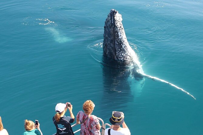 Remote K'gari (Fraser Island) & Whale Experience - Snorkelling gear included, plus the reality of visibility