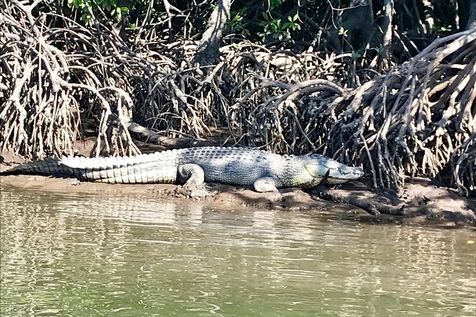River Cruise - The Kid Factor: Coloring Sheets, Steering, and the Calm-Water Win