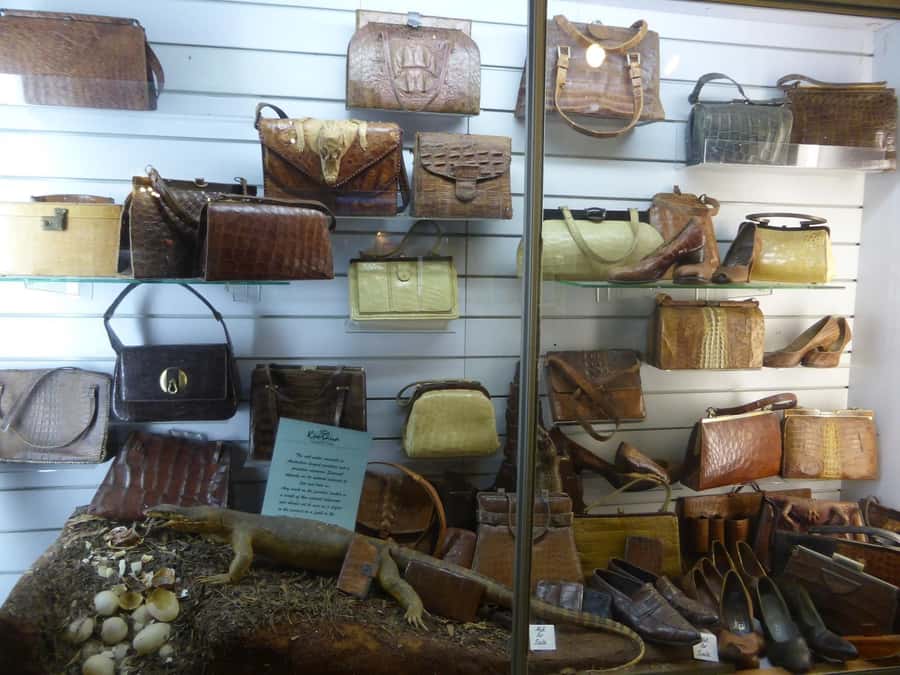 Rockhampton: Koorana Crocodile Farm Guided Tour - Why Koorana Crocodile Farm feels different from a “just look” attraction