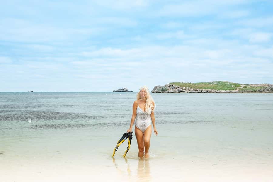 Rockingham: Shoalwater Islands, Dolphins, and Sea Lions Tour - Glass Bottom Boat Reality Check: When Weather Changes the View