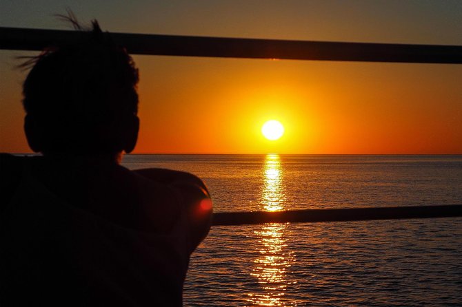 Roebuck Bay Sunset & Snubfin Dolphin Cruise - Roebuck Bay Cruise at a Glance