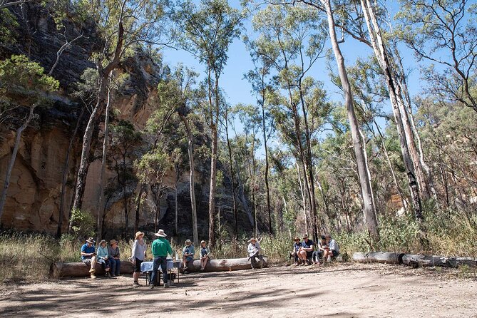 Roma: Lost World Carnarvons (Wallaroo) Day Tour - Date Rock and Cycad Gorge lunch, with Arch Rock in your peripheral vision