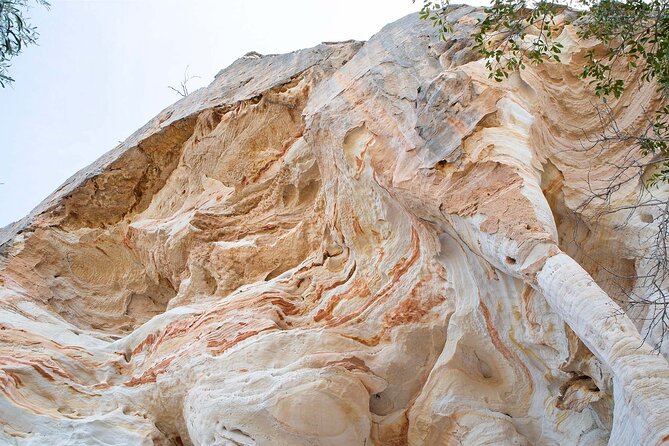 Roma: Lost World Carnarvons (Wallaroo) Day Tour - The rock formations and the outback feel: more than postcard stops