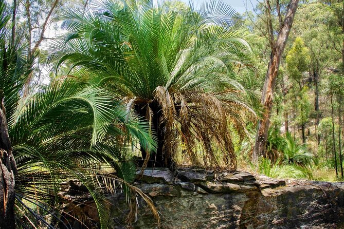 Roma: Lost World Carnarvons (Wallaroo) Day Tour - Food, snacks, and why meals matter on a long outback day