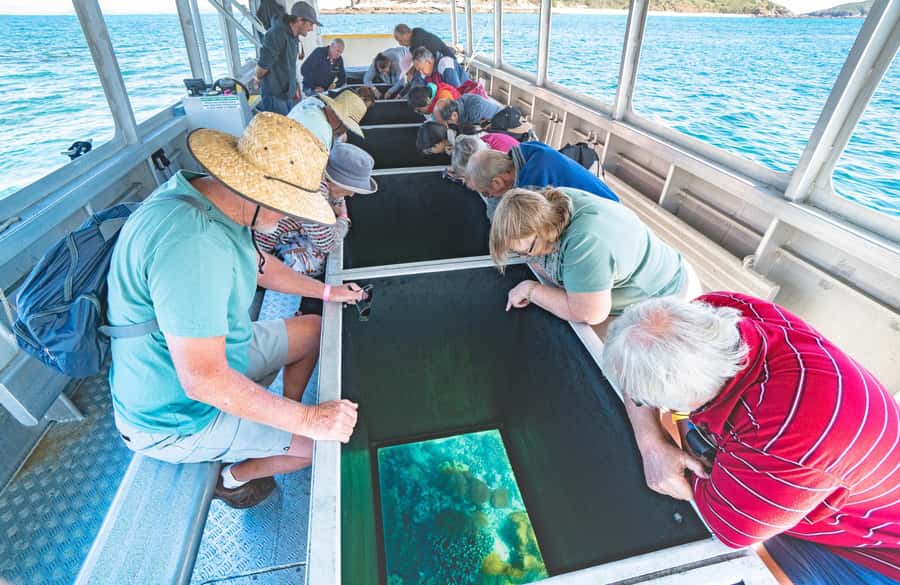 Rosslyn: Great Keppel Island Glass Bottom Boat Tour - Key things I’d zero in on before you book