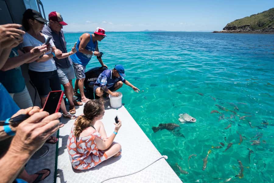 Rosslyn: Great Keppel Island Glass Bottom Boat Tour - Yeppoon to Great Keppel: a quick ferry that gets you in the mood