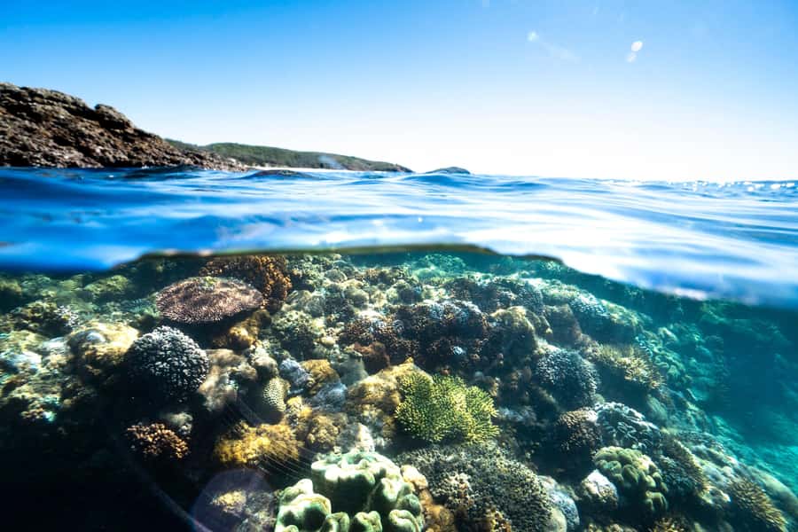 Rosslyn: Great Keppel Island Glass Bottom Boat Tour - Food on Great Keppel: two licensed options, plus picnic mode