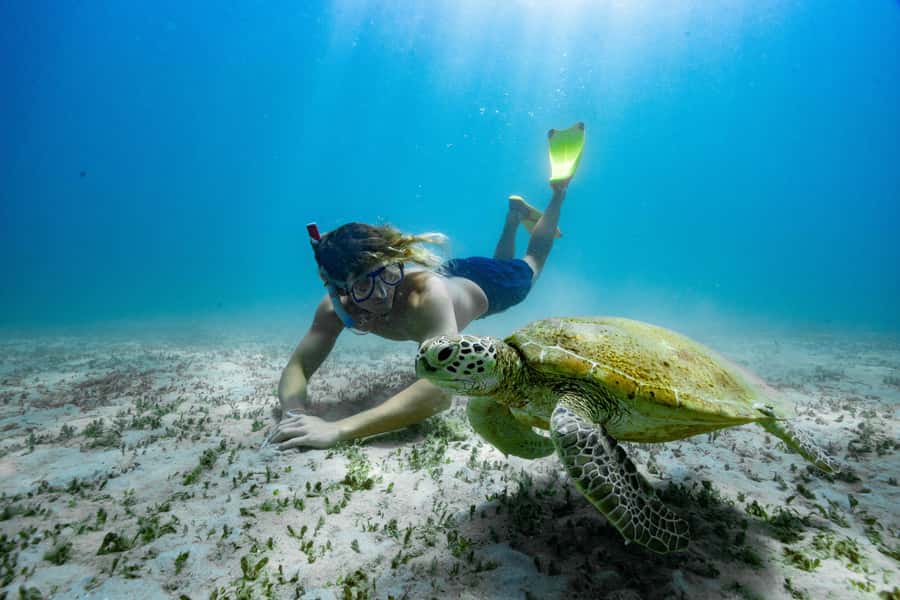 Rosslyn: Great Keppel Island Glass Bottom Boat Tour - Timing matters: return ferry departures and how to stay relaxed