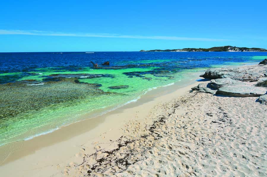 Rottnest Grand Island Package with Ferry, Tour & Light Lunch - Free time at the settlement: quokkas, food, and the little surprises