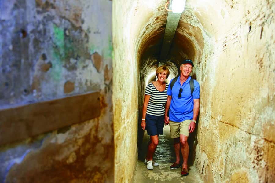 Rottnest Grand Island Package with Ferry, Tour & Light Lunch - Ferry ride from Perth or Fremantle, and how to enjoy it more