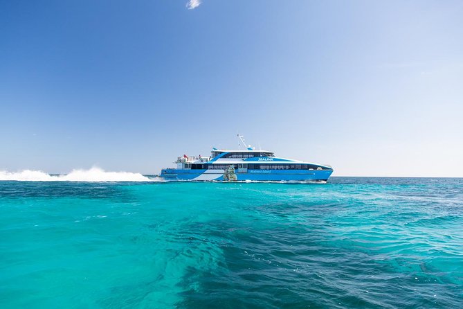 Rottnest Island All-Inclusive Grand Island Tour from Fremantle - Oliver Hill WWII Guns and Tunnel: the guided story that gives depth