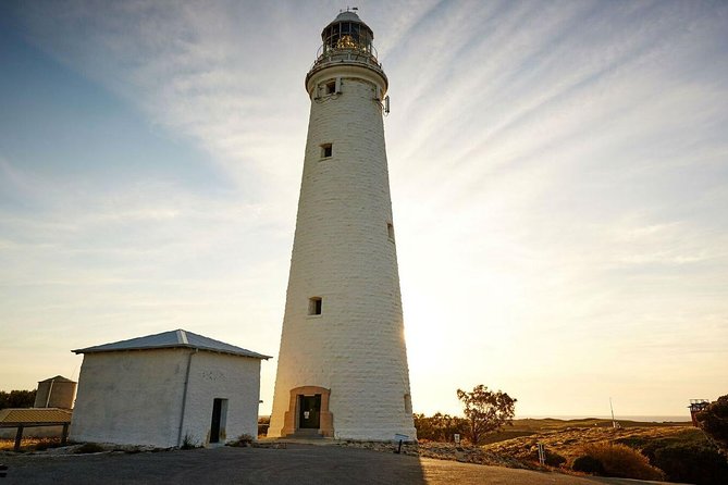 Rottnest Island All-Inclusive Grand Island Tour from Perth - Rottnest from Perth, in one efficient swing