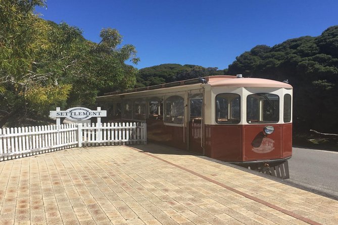 Rottnest Island All-Inclusive Grand Island Tour from Perth - Rottnest arrival and free time: how to not waste it