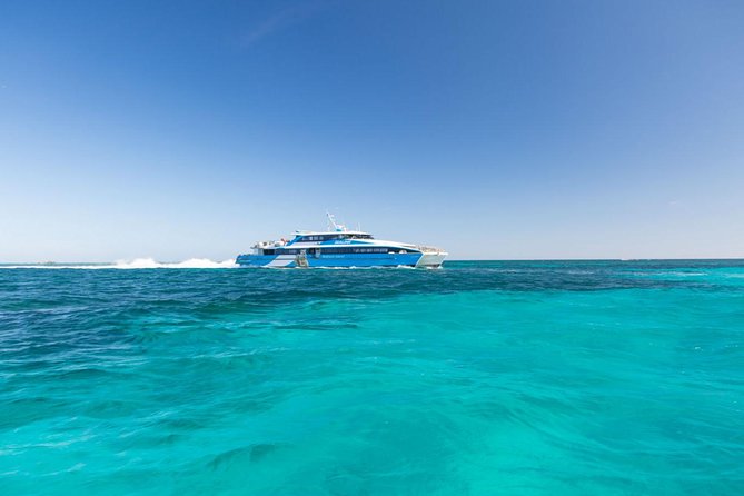 Rottnest Island All-Inclusive Grand Island Tour from Perth - Price and logistics: what your $169.27 actually covers