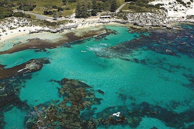 Rottnest Island Bayseeker Day Trip from Fremantle - Your free time on Rottnest: how to use the window well
