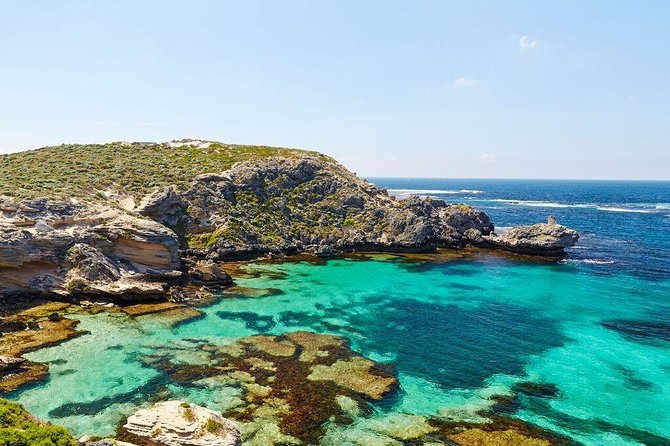Rottnest Island Bayseeker Day Trip from Fremantle - Price and value: what $100.77 gets you (and what it does not)