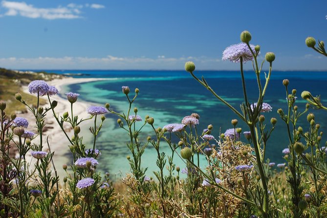 Rottnest Island Bayseeker Tour - Key things to know before you go