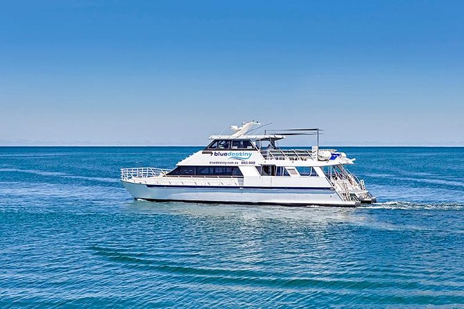 Rottnest Island Boat Dive Day Trip including Lunch - Key Things I’d Bet On