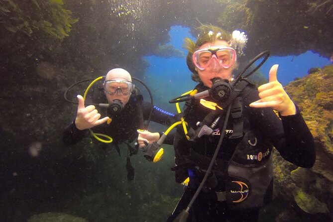Rottnest Island Boat Dive Day Trip including Lunch - The underwater plan: two scuba sessions with one cylinder supplied