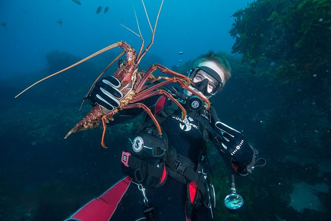 Rottnest Island Deep Dive Day Trips - Key highlights at a glance
