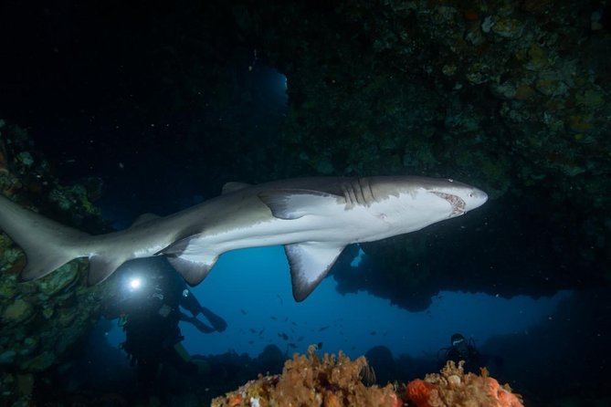 Rottnest Island Deep Dive Day Trips - Fremantle at 8:00, then Rottnest waters on Blue Destiny