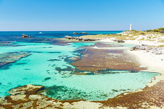 Rottnest Island Fast Ferry from Hillarys Boat Harbour Including Bike Hire - When This Trip Is a Great Fit, and When It Might Not Be
