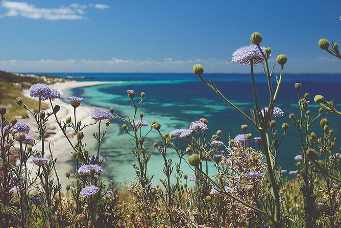 Rottnest Island Full-Day Trip With Guided Island Tour From Perth - Quick hits before you go