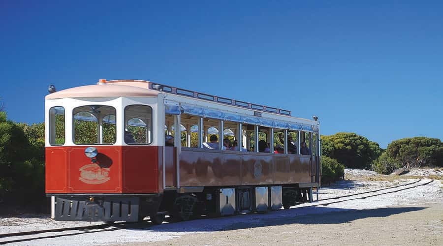 Rottnest Island: Grand Bus and Train Tour with Lunch - Key highlights worth marking on your map