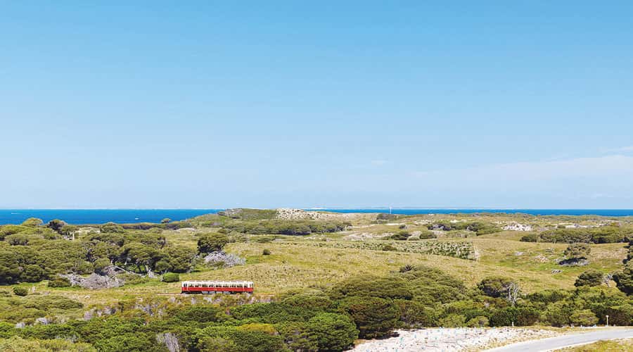 Rottnest Island: Grand Bus and Train Tour with Lunch - How worth it is $77? Here’s my value read